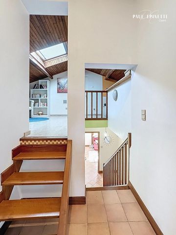 photo no. 8