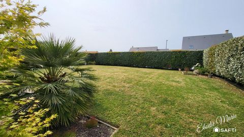 photo no. 1