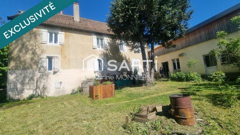 photo no. 15