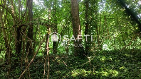 photo no. 11