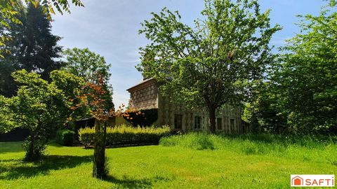 photo no. 2