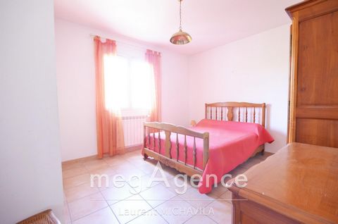 photo no. 9