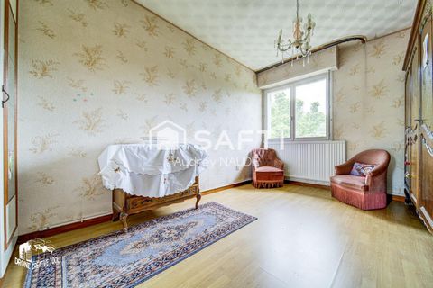 photo no. 8