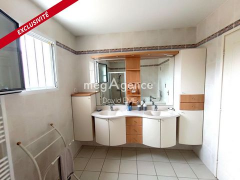 photo no. 11