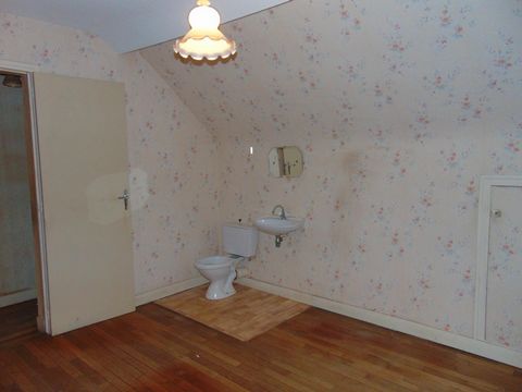 photo no. 7