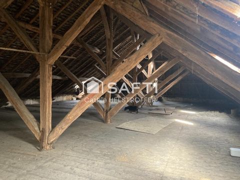 photo no. 8