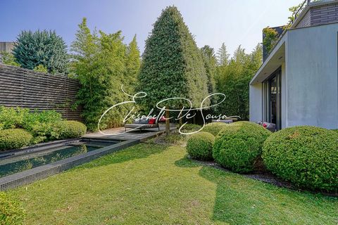 photo no. 1