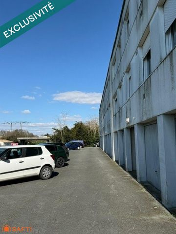 photo no. 11