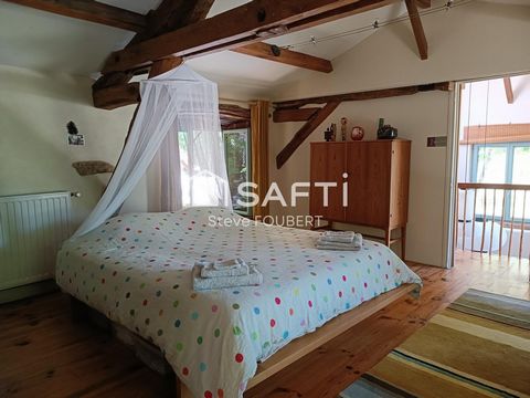 photo no. 9