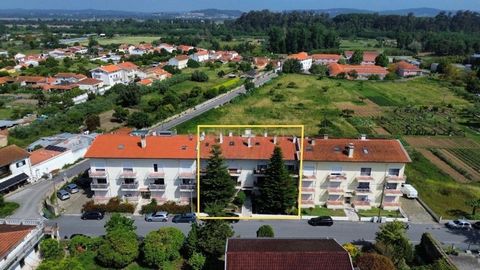 Descubra este magnífico apartamento duplex em Coimbra - Estrada de Bencanta, São Martinho do Bispo, com 216m² de área, ideal para famílias que procuram conforto e espaço. Com 1 suite, 2 quartos e 1 casa de banho; no duplex: 2 quartos, 1 escritório, s...
