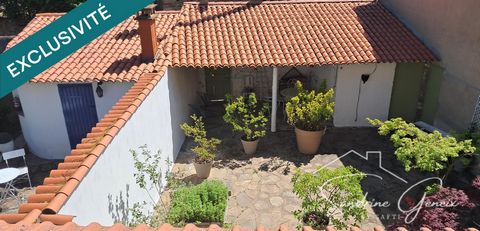 photo no. 18