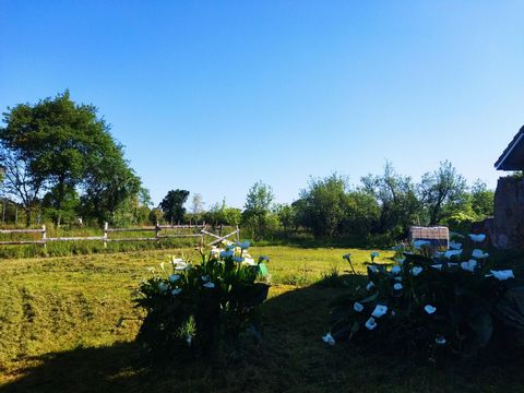 photo no. 13