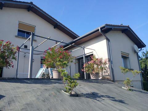 photo no. 4