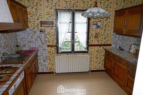 photo no. 11