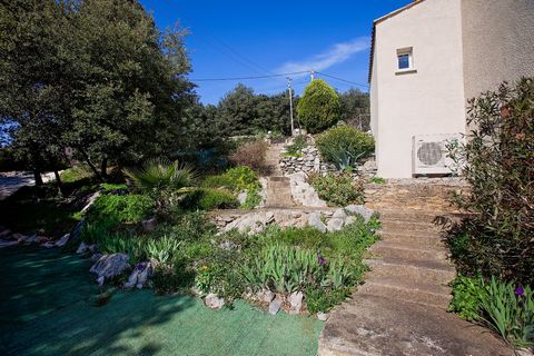 photo no. 16