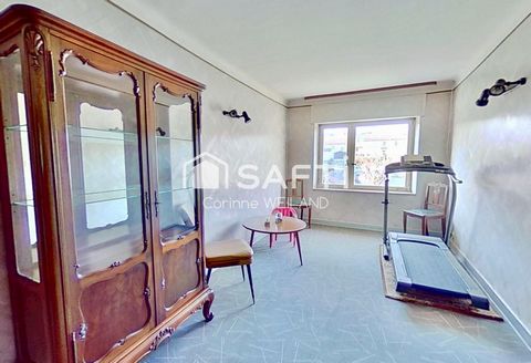 photo no. 6