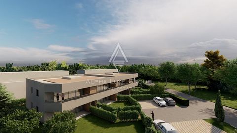 ID CODE: ALG-2445 Robert Budimir Agent s licencom Mob: +385 95 363 1892 Tel: +385 52 204 933 E-mail: robert@alphaluxegroup.com https://alphaluxegroup.com Marijana Budimir Agent s licencom Mob: +385 95 363 1893 Tel: +385 52 204 933 E-mail: marijana@al...