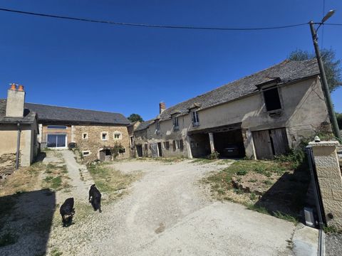 photo no. 19