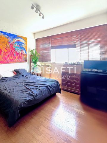 photo no. 11