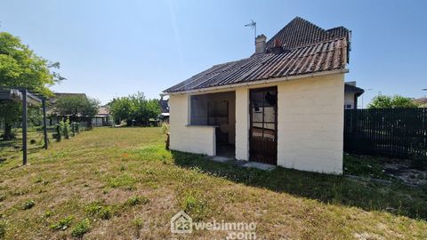 photo no. 17