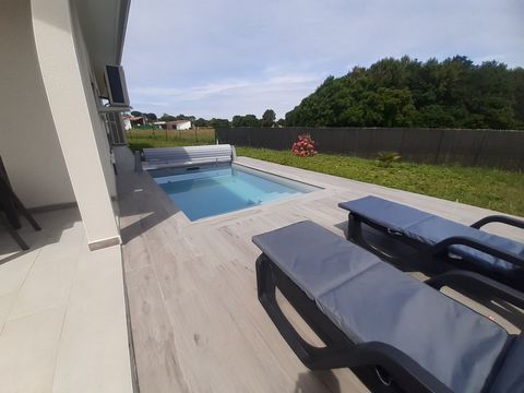 photo no. 2