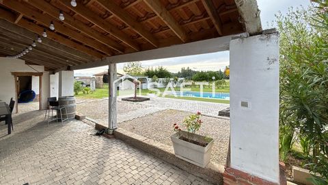 photo no. 11