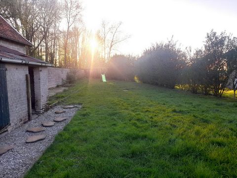 photo no. 16