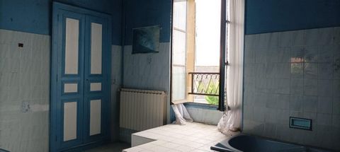 photo no. 7