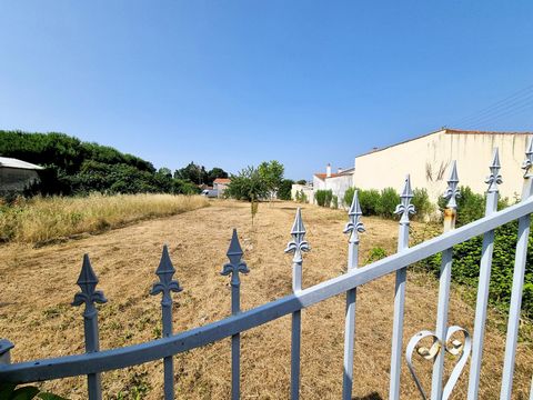 photo no. 5