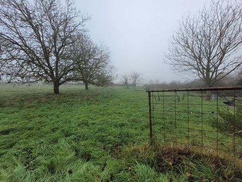 photo no. 11
