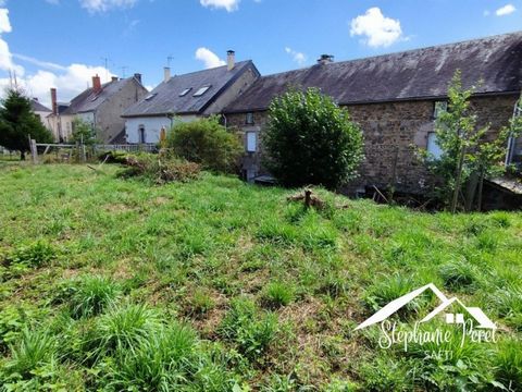 photo no. 10