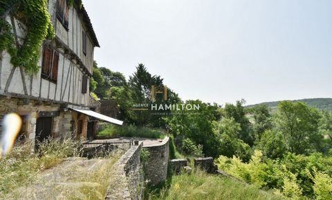 photo no. 2
