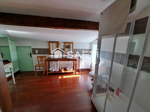 photo no. 8