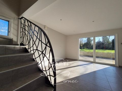 photo no. 12