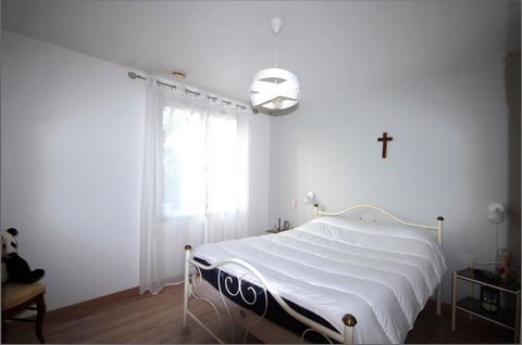 photo no. 7