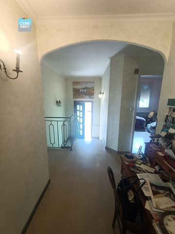 photo no. 6