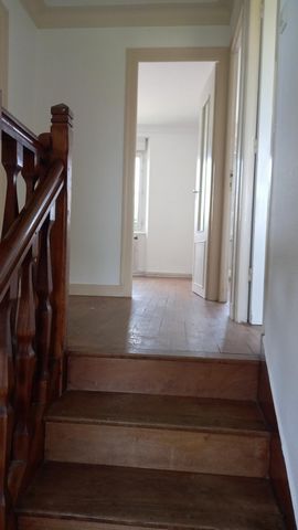 photo no. 11