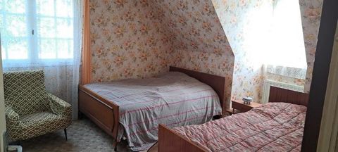 photo no. 7