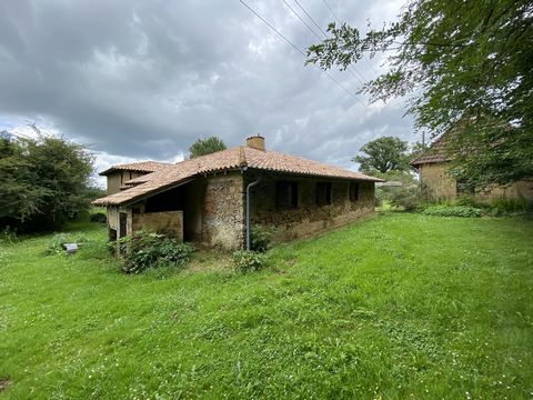 photo no. 18