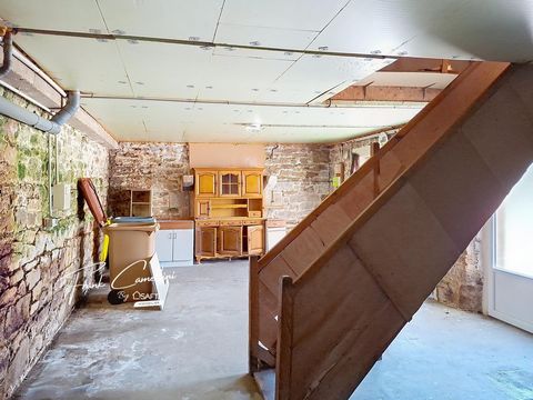 photo no. 8
