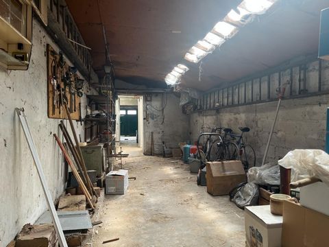 photo no. 3