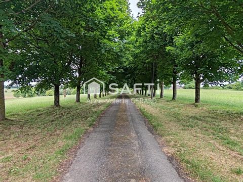 photo no. 13