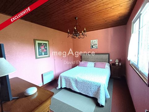 photo no. 10