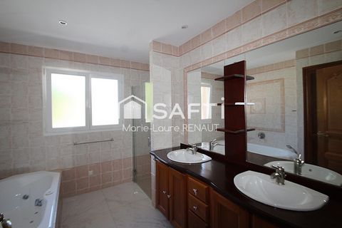 photo no. 11