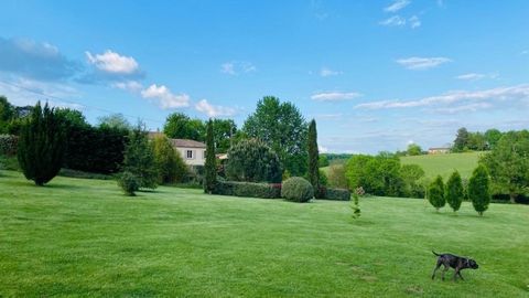 photo no. 13
