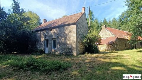 photo no. 2