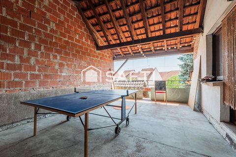 photo no. 14