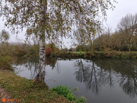 photo no. 4