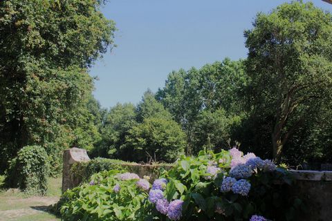 photo no. 3