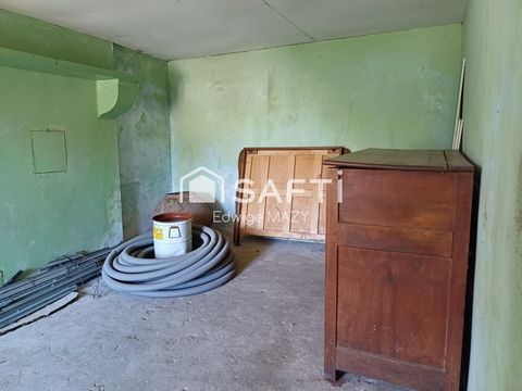 photo no. 14